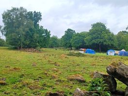 Field camping
