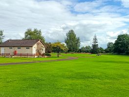 Grass electric pitches