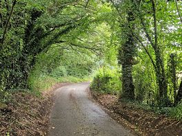 Lovely walk