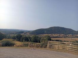 View from the drive in