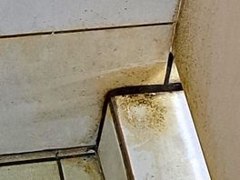 Dirty showers