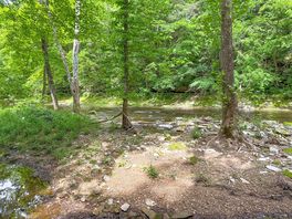 Primitive site edging the creek