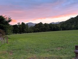 Site