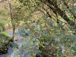 Walks from the site