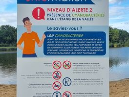 No swimming