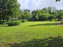 Beautiful lawn