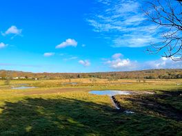 Nature reserve from a hide
