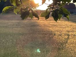 Setting sun