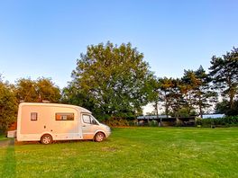 Summer grass pitches