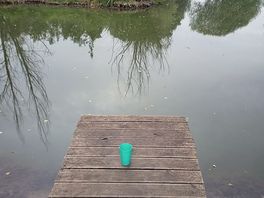 Evening drink beside the lake.