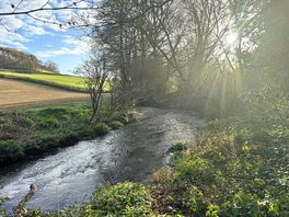 Beautiful river