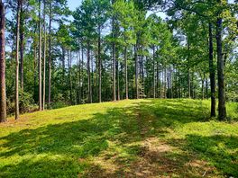 View of the site