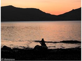 A moment of contemplation