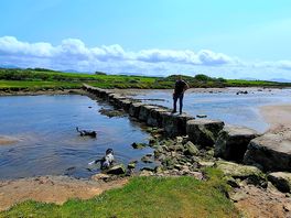 Stepping stones