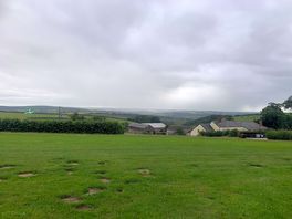 Great view