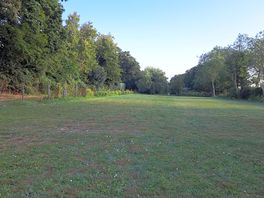 Tent area
