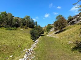 Walk from site