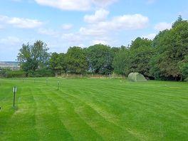 Lush field with wildlife pond.