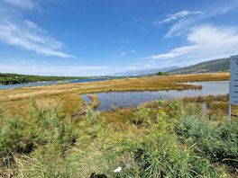 View across the marshland to the bay.
