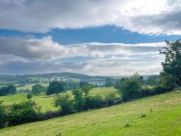 View from the field next to the site