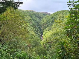 Devil bridge/falls