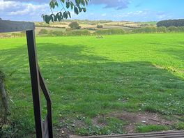 The view from the shower