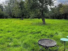 Wild area which my dogs loved.