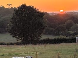 Sunrise