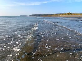 Ynys las
