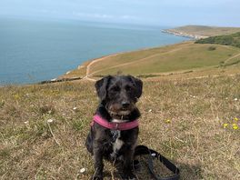 Lovely walk from the site