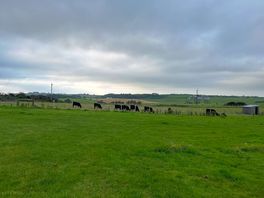 Nice friendly neighbours.