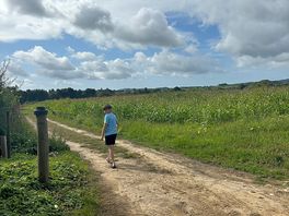 Lovely walks nearby