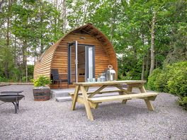 Firepit and picnic table