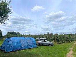 The site for larger tents