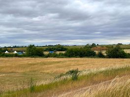 Camping view