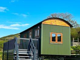 Shepherds hut with a view