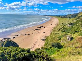 St cyrus beach walk