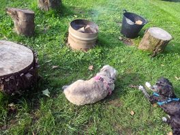Ritec valley glamping