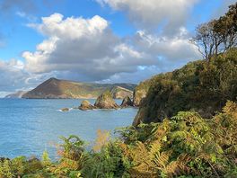 Another from that short hike from the harbour, this was a little off the main path!