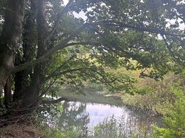 Nearby walk