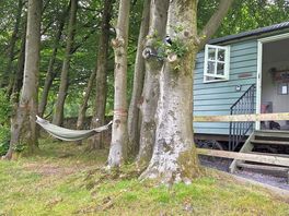 Cabin