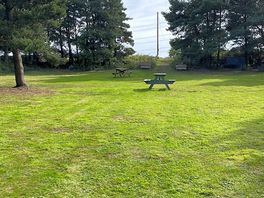 Picnic