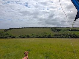 Wildlife watching