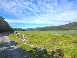 View of the estuary