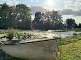 Pond