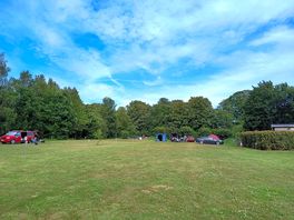 The site