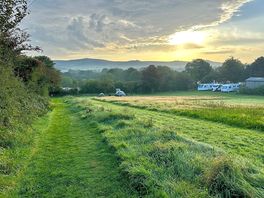 Top field