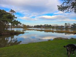 Lakes