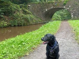 The close by canal walk