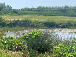 Wildlife haven
